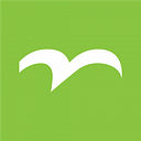 CHICAGO FOUNDATION FOR WOMEN logo