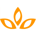 Children's Health Foundation Inc logo