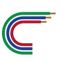Chamberlin Electric logo