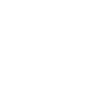 ChamClad logo