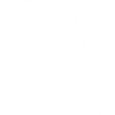 Chameleon Technologies, Inc. logo