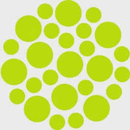 Chameleon Technology Ltd logo