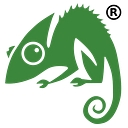 Chameleon Web Services logo