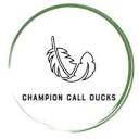 Champion Call Ducks LTD logo