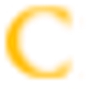 Champion Security Agency logo