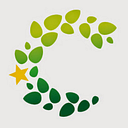 EDUCATION FOUNDATION OF COLLIER COUNTY logo