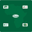 Chams HoldCO