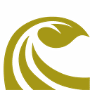 The HA & Mary K Chapman Foundation logo