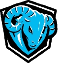 Chargeback Defense logo
