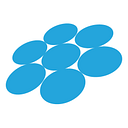Charleston Digital Corridor Foundation logo
