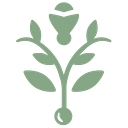 Belmond Charleston Place logo