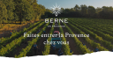 chateauberne-vin.com logo