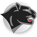 Chatham Central School District logo
