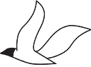 chayka.lv logo