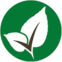 Checkgallery logo