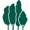 Trees.com