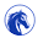 Cheema Janitorial logo
