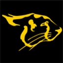 Cheetah Gyms Inc. logo
