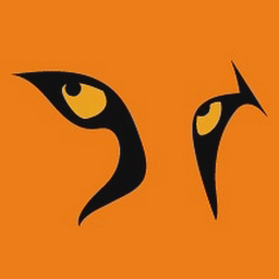 Cheetah Limited logo