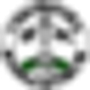 Town of Chelmsford logo