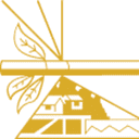Chenega Future Inc logo