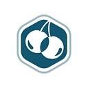 CHERI Alliance Logo