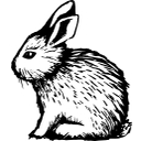 Cherith Harrison logo