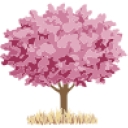 Cherry Valley Club Inc logo