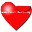 Chesed Foundation logo