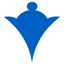 Favicon of Chess Health Solutions