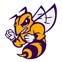 Chester ISD logo