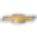 Chevy logo