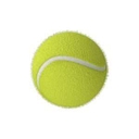 Cherry Hill Health & Racquet Club logo