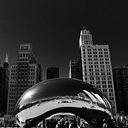 Chicago Center For Urban Life & Culture logo