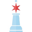 Chicago Chess Foundation logo