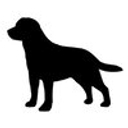 Full Time Student logo