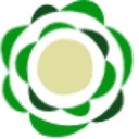 GREATER CHICAGO FOOD DEPOSITORY