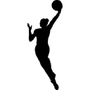 Chicago Sky Official logo