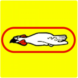 Chicken Express logo