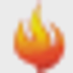 RINGWOOD CHICKEN LTD T/A CHICKEN PLUS logo