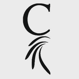 avatar logo