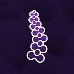 Chieftain Chiropractic logo