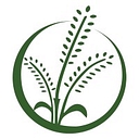 Chieftain Wild Rice Company logo