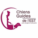 chiens-guides-est.org icon