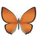 St Andrews Kindergarten Trust logo