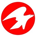 Shaoxing Naite Plastics Co., Ltd. logo