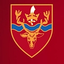 South Chingford Foundation School logo