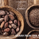 Chocolate Alchemy logo