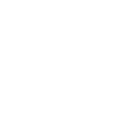 Choctaw Nation Health Services Authority logo