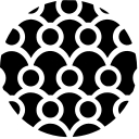 Chorus Community Health Plans logo